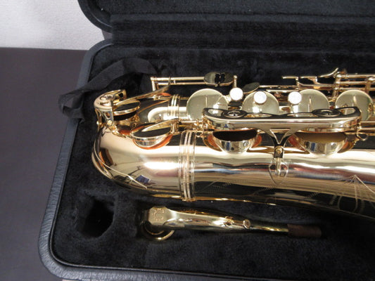 YANAGISAWA Alto Saxophone A-901 #00277551
