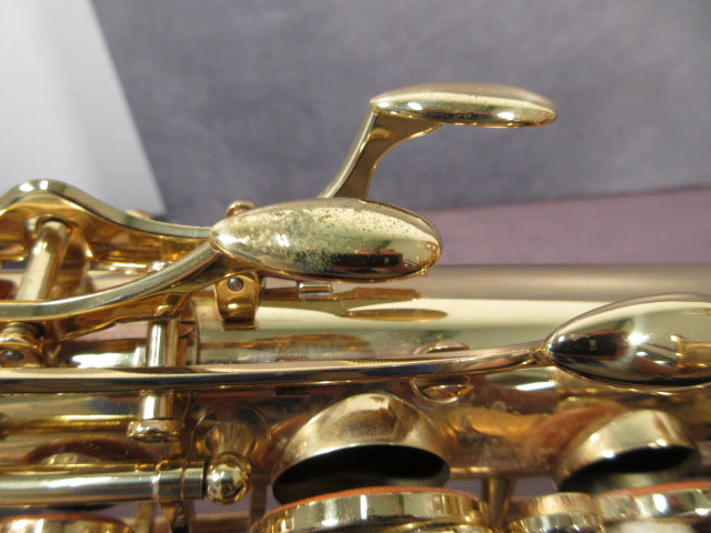 YANAGISAWA Alto Saxophone A-901 #00277551