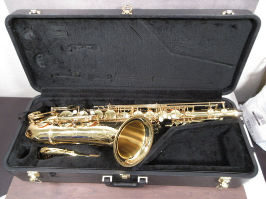 YANAGISAWA Alto Saxophone A-901 #00277551