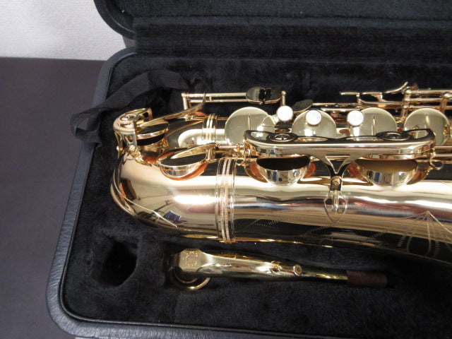 YANAGISAWA Alto Saxophone A-901 #00277551