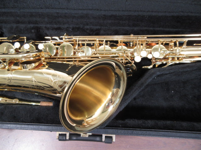YANAGISAWA Alto Saxophone A-901 #00277551